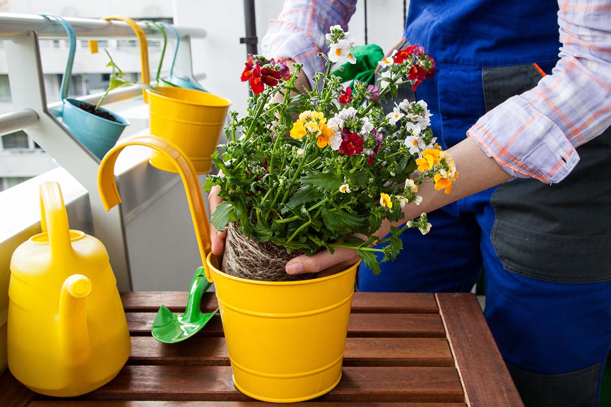 Frühlingsarrangements