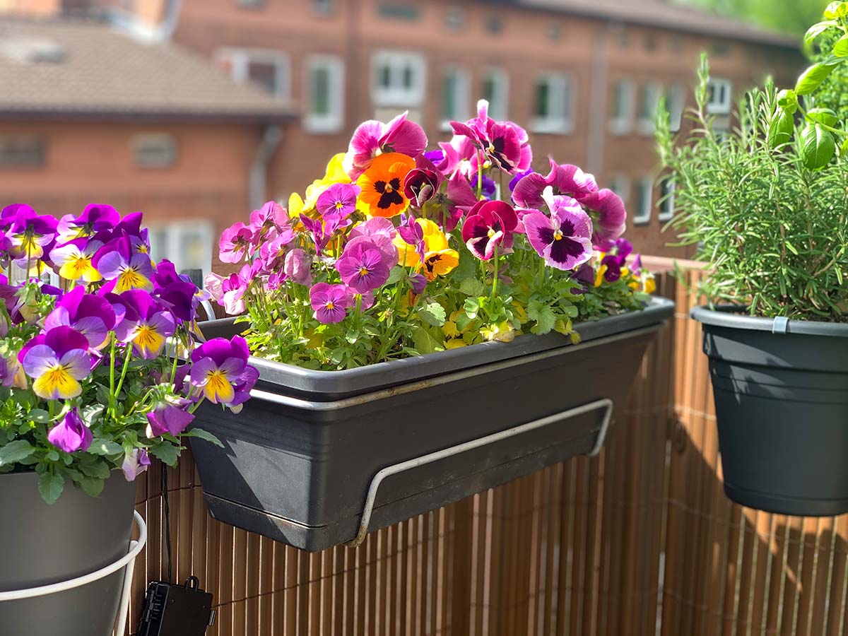 Frühlingsarrangements